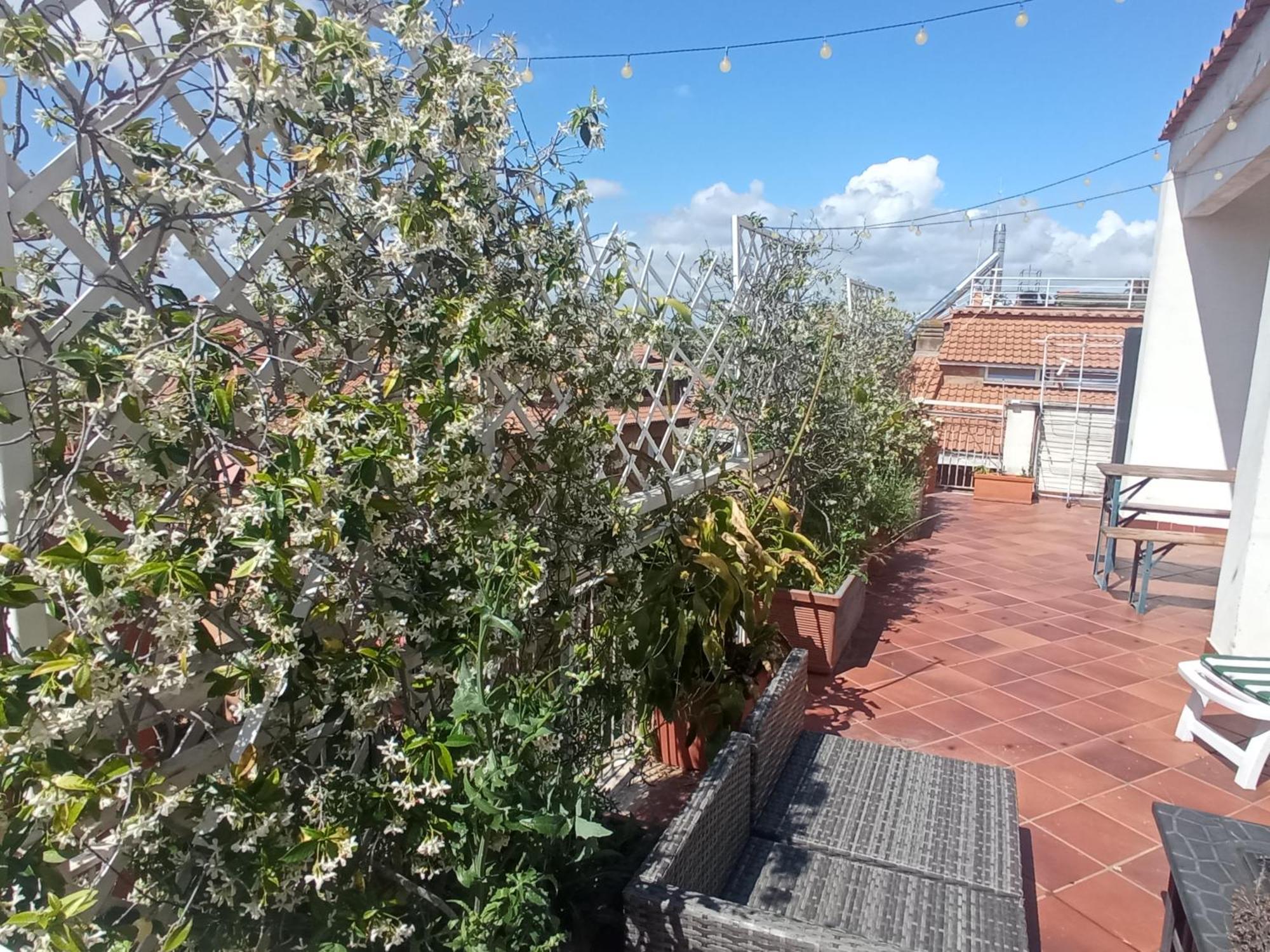 Rooftop Appia Antica,Silenzioso Riservato Two Bedrooms Two Bathrooms Рим Екстер'єр фото